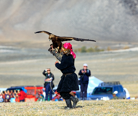 OLGII city, MONGOLIA - SEPTEMBER 16, 2018: Eagle hunting competitions. Altai Kazakh Eagle Festival. Western part of Mongolia. Man holds an eagle on his hand