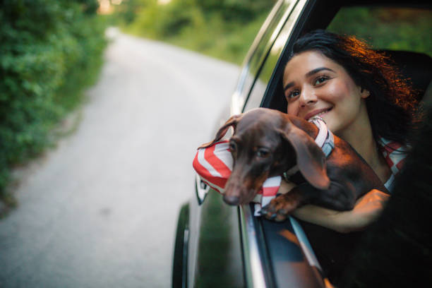 istock Beautiful woman with dog 1163197317