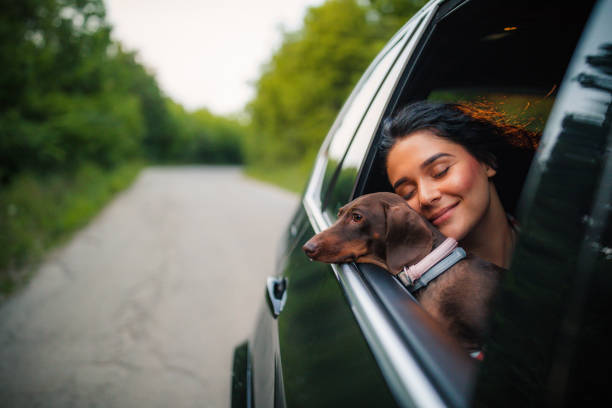 istock Beautiful woman with dog 1163198902