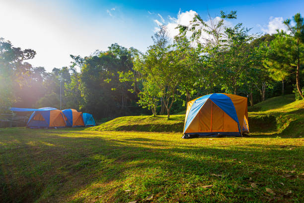 istock Camping tents in pine tree forest by the lake 1163200026