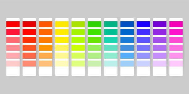 Color palette guide on transparent background Color palette guide on transparent background palette stock illustrations