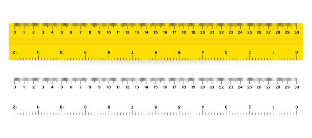 30cm messen tape lineal schule metrische messung. metrisches lineal. - lineal stock-grafiken, -clipart, -cartoons und -symbole