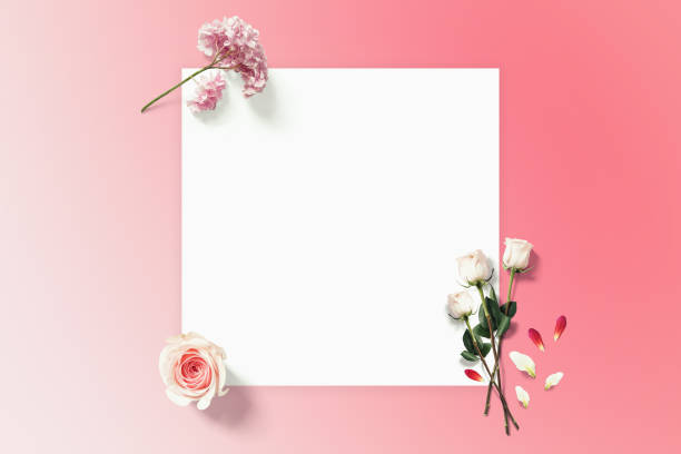 istock Spring flower flatlay with copyspace paper. Roses on the pink background 1163208272