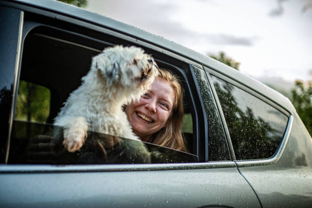 istock Young woman enjoys free time with her dog 1163210688