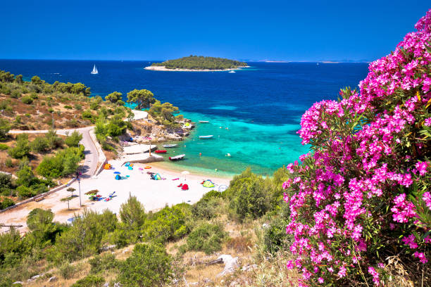 istock Idyllic Adriatic beach Bilo near Primosten view 1163212401