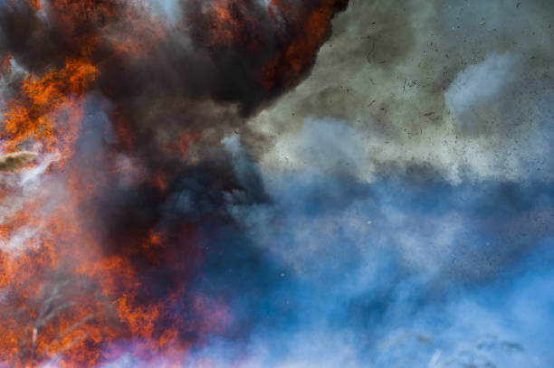 istock Fire, strong smoke. Burning reed in the swamp. Natural disaster 1163215340