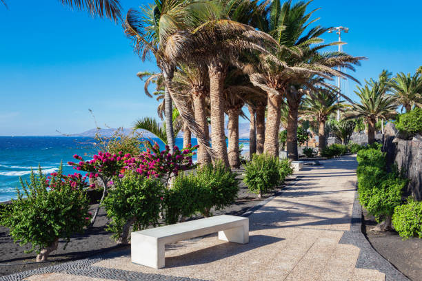 istock Puerto del Carmen, Lanzarote, Canary Islands 1163218330
