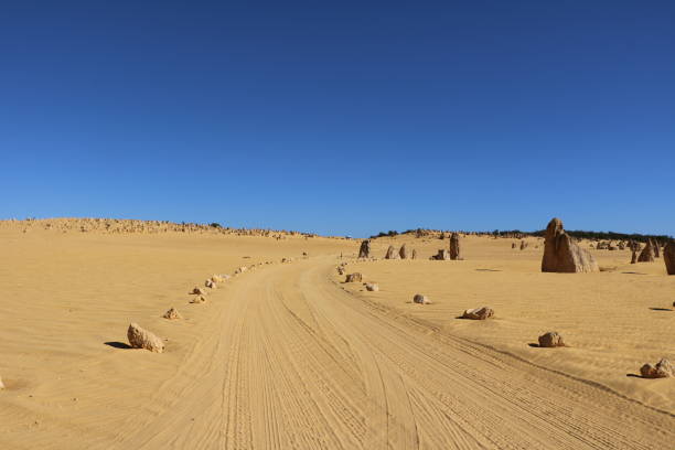 istock The Pinnacles Desert in Western Australia 1163218342
