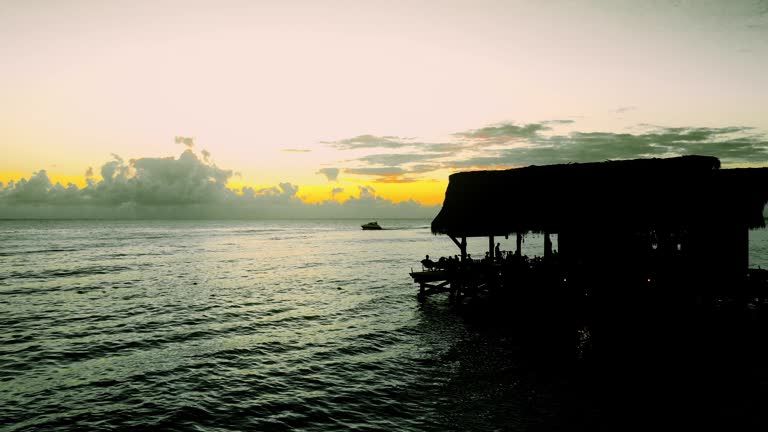 aerial of a beautiful sunset at the sea in black and white and one color, yellow