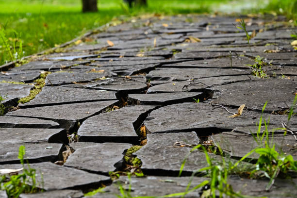 istock Stone path in the moss after the rain 1163222380
