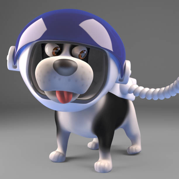 istock Cartoon dog in spacesuit ready to explore space, 3d illustration 1163226460