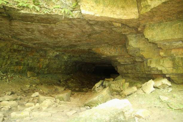 istock Opening of a Bat Cave 1163227203