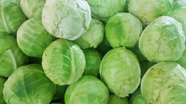 市場で販売される新鮮なキャベツ、野菜の自然の背景 - head cabbage ストックフォトと画像