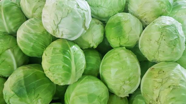 istock fresh cabbage sold in the market, Vegetable natural background 1163232979