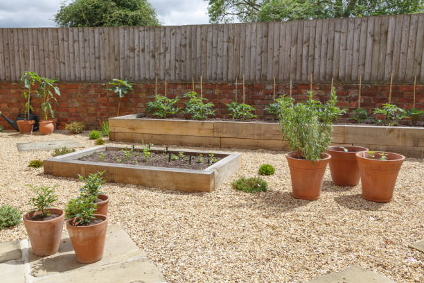 istock Raised beds in kitchen garden 1163235515