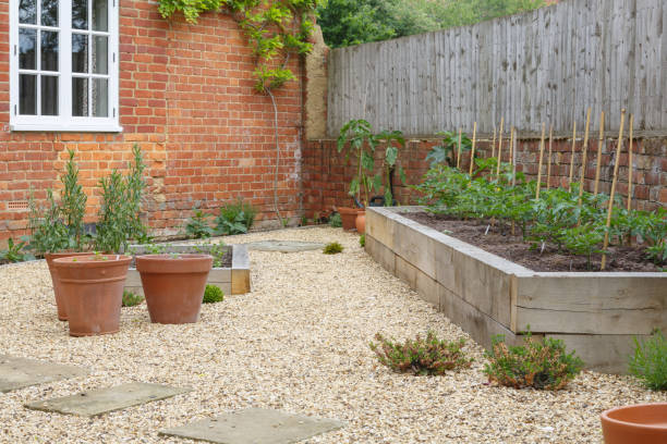 istock Garden terracotta plant pots 1163237177