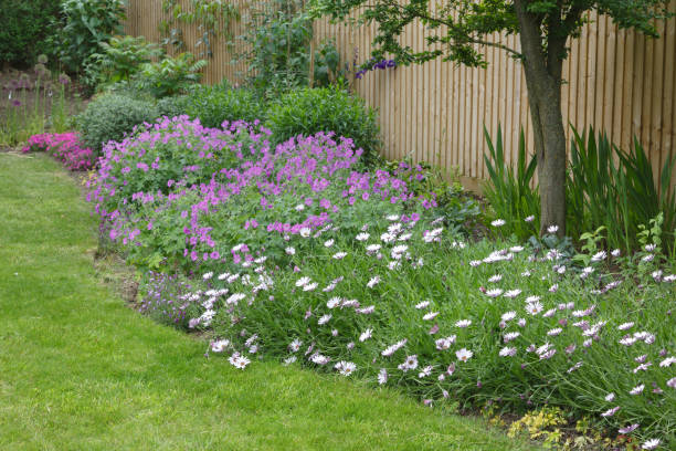 istock Garden flower bed 1163237947