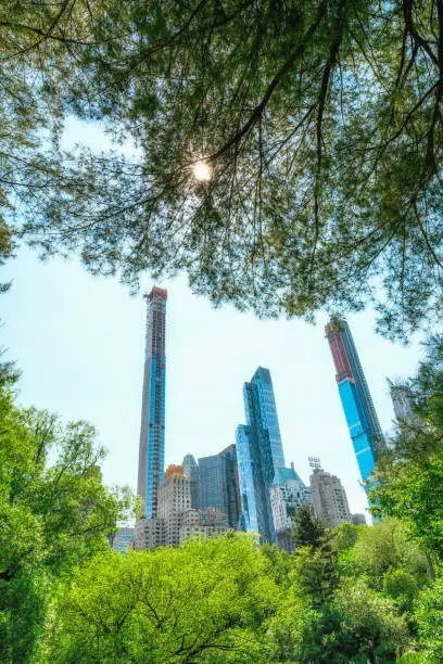 Photo of Manhattan Skyline Framed by Nature. Skyscrapers, View from Central Park. Sunny Day in New York City