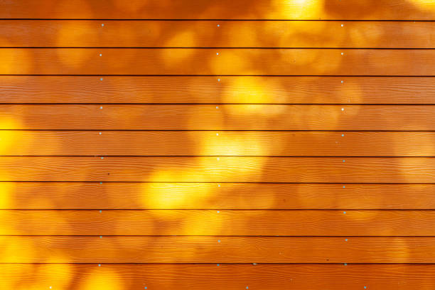 Texture of wood wall background. wooded wall.