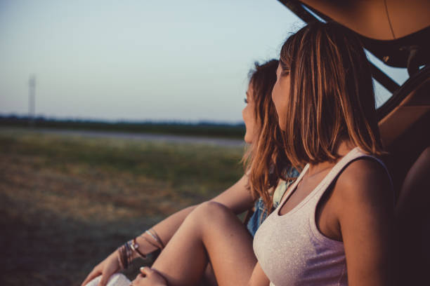 istock Friends relaxing together while taking a break from driving on their road trip 1163242976