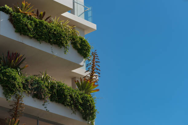 White modern building decorated with green tropical plants