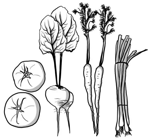 Vector illustration of Seasonal Veggies