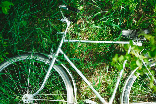 istock Top down view bicycle in the grass 1163245168