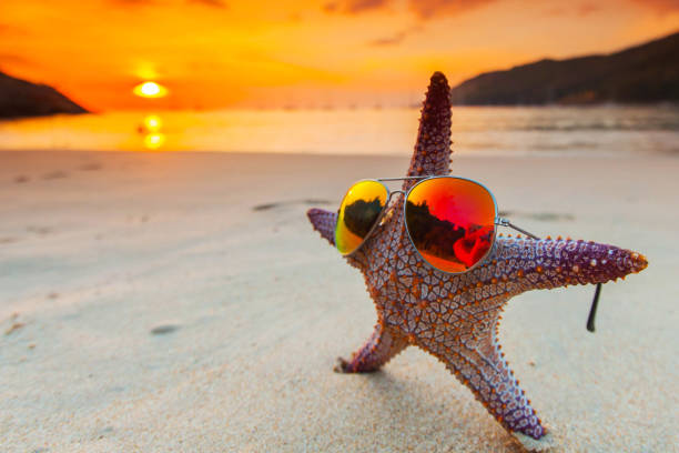 istock Starfish in sunglasses 1163245551
