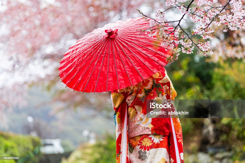 Kyoto, Japan Cherry blossom sakura trees in spring with blooming flowers in garden park by river and woman in red kimono and umbrella Japan Stock Photo