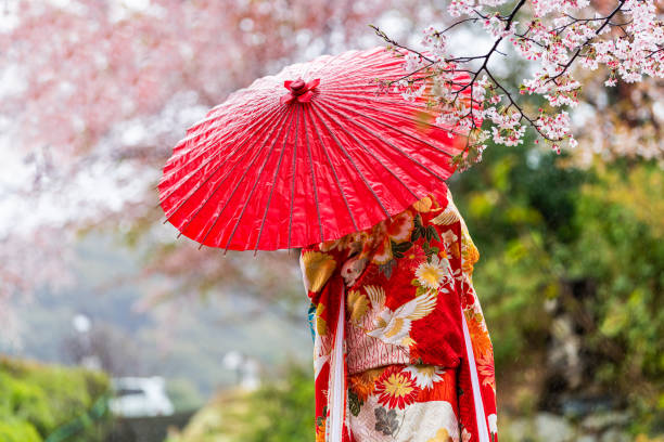 Kyoto, Japan Cherry blossom sakura trees in spring with blooming flowers in garden park by river and woman in red kimono and umbrella stock photo