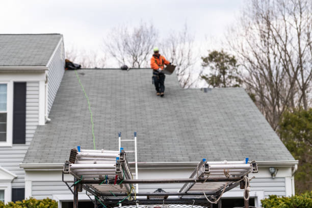 트럭, 회색 색상 단일 가족 가정과 수�리 하는 동안 지붕 대상 포진 및 사다리에 걷는 남자와 차고 를 통해 하루 동안 집 - men on roof 뉴스 사진 이미지