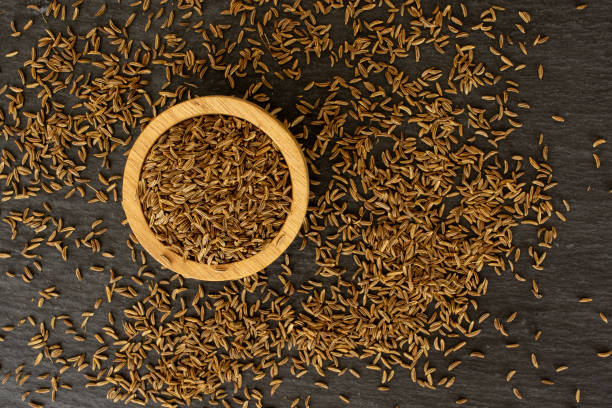 Dry caraway fruit on grey stone Lot of whole dry caraway fruits in a wooden bowl flatlay on grey stone slate ridge stock pictures, royalty-free photos & images