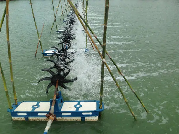Photo of Turbine rotates the surface to increase oxygen in fish pond and shrimp pond. Turbine and shrimp farming techniques. Water oxygen generator.