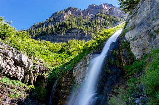 This is a view of a raging waterfall along the trail leading to Mount Timpanogos in northern Utah.  This shot was taken during the height of summer after a very wet winter and spring.  The mountains are covered in lush green foliage.  The incredible amounts of snow have left behind gushing streams that include dramatic waterfalls like this one. In this shot the waterfalls are in shadow while the surrounding cliffs are lit with sunlight.  This shot was taken with a long exposure to illustrate the blurred motion of the falling water.