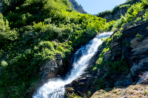 This is a view of a raging waterfall along the trail leading to Mount Timpanogos in northern Utah.  This shot was taken during the height of summer after a very wet winter and spring.  The mountains are covered in lush green foliage.  The incredible amounts of snow have left behind gushing streams that include dramatic waterfalls like this one.