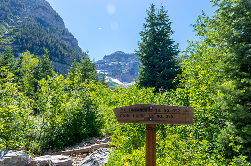 This is a view of the trail leading to Mount Timpanogos in northern Utah.  This shot was taken during the height of summer after a very wet winter and spring.  The mountains are covered in lush green foliage and some snow remains in the shadowy crevices of the peaks. This photo includes a wooden signpost showing directions for the hike.