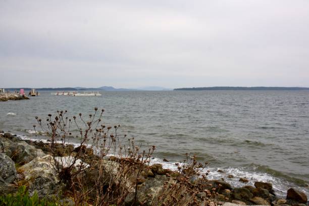 istock Sidney by the Sea 1163258060