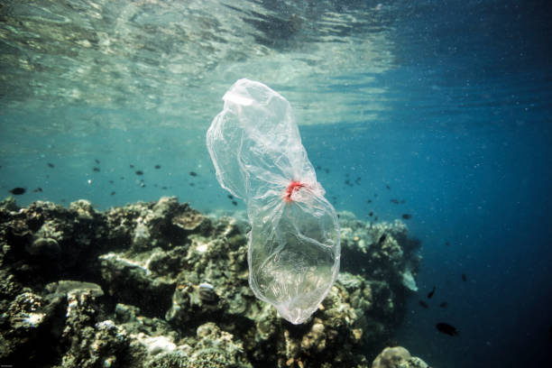 istock Plastic bag drifting over coral reef underwater 1163261262