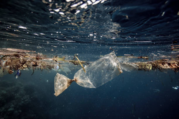 bolsa de plástico a la deriva sobre arrecife de coral bajo el agua - pollution sea toxic waste garbage fotografías e imágenes de stock