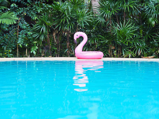 giocattolo fenicottero rosa - lifeguard swimming pool summer swimming foto e immagini stock