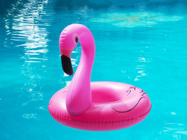 istock pink flamingo toy 1163264605