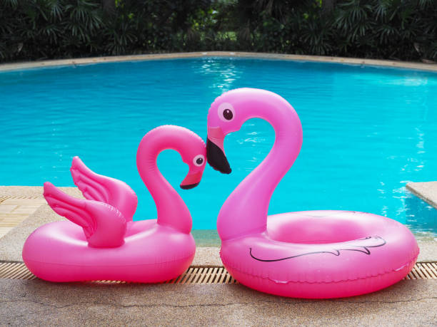 różowa próżna flamingowa - swimming animal beach casual loving zdjęcia i obrazy z banku zdjęć