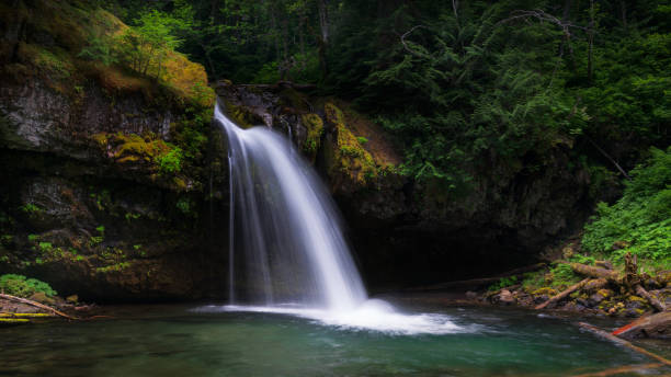 istock Iron Creek Falls In Pacific Northwest United States 1163268943