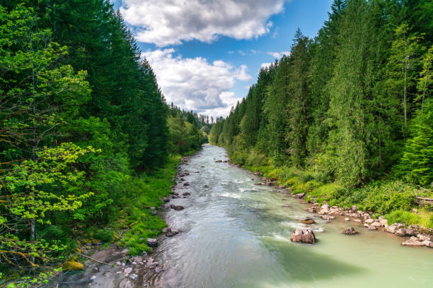 istock Cowlitz River In Washington State On Beautiful Day 1163269481
