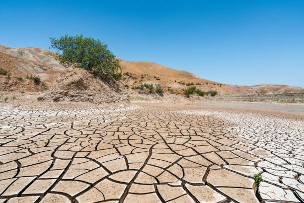 istock Global warming dried up a big lake 1163273917