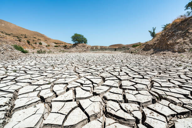 o aquecimento global secou acima um lago grande - global warming cracked dirt earth - fotografias e filmes do acervo