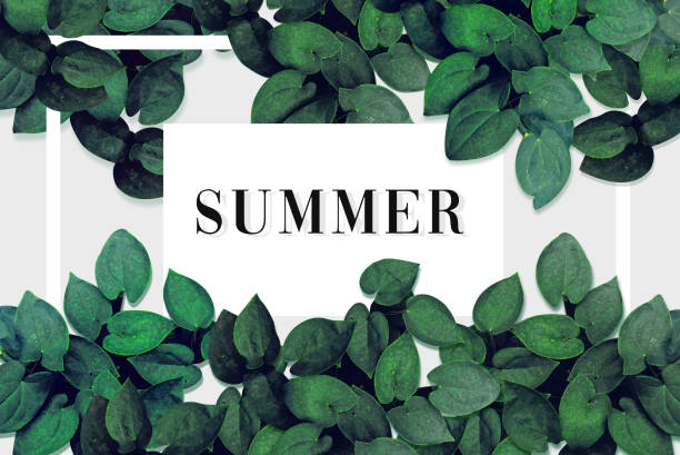 istock summer sales banner 1163275243