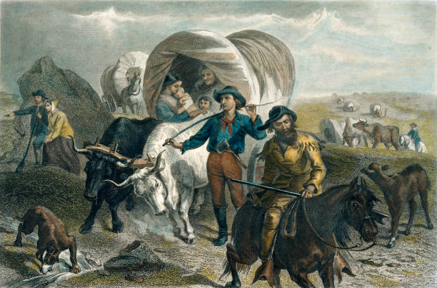American Pioneers Crossing the Plains in Covered Wagons Vintage illustration features American pioneers migrating westward in hopes of securing land and building a prosperous life. The westward expansion of the United States is one of the defining themes of 19th century American history. explorer stock illustrations