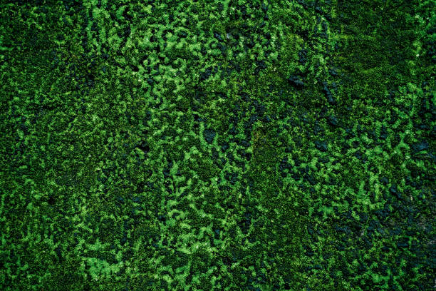 istock Abstract colorful grunge background 1163275275
