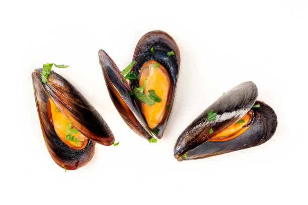 Cooked mussels, shot from the top on a white background stock photo